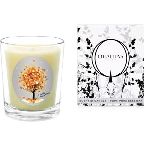 Qualitas Candles Fresh Fall Morning 6.5oz Beeswax Candle White 190g/6.5oz