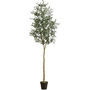 Nearly Natural 8ft Artificial Olive Tree Green NoSize