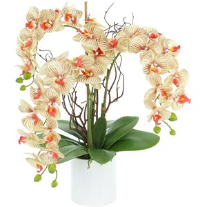Creative Labs Displays Modern Beige Orchid Arrangement In Round Fiberstone Pot Beige ns