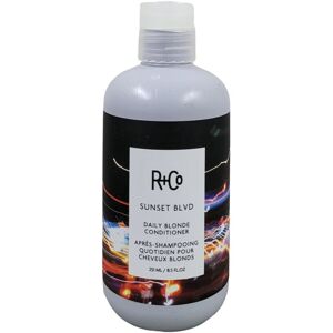 R+Co Unisex 8.5oz Sunset Blvd Daily Blonde Conditioner NoColor NoSize