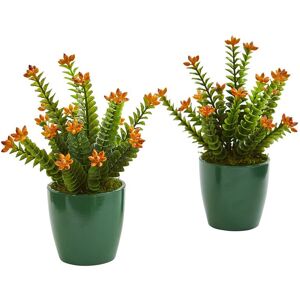 Nearly Natural Set of 2 Sedum Succulent Artificial Plants in Green Planter Green NoSize
