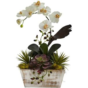 Nearly Natural Orchid & Succulent Garden with White Wash Planter White NoSize