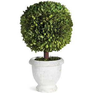 Napa Home & Garden Boxwood Single 11in Ball Topiary in Pot Green NoSize