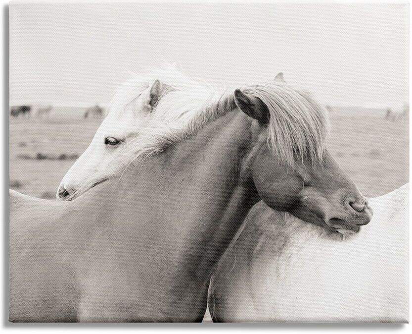 Stupell Industries Wild Country Horses Resting Animal Hug Monochromatic Photograph Stretched Canvas Wall Art by Danita Delimont Grey NoSize