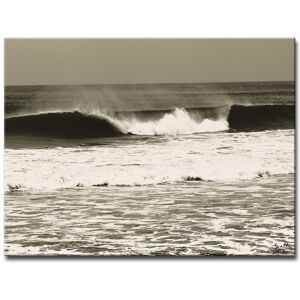 Ready2HangArt Watching Them Grow Wrapped Canvas Wall Art by Joelle Joy NoColor 16in W x 12in H