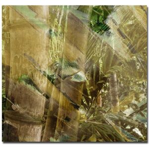 Ready2HangArt Abstract Bamboo II Wrapped Canvas Wall Art NoColor 30in W x 30in H