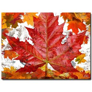 Ready2HangArt Fall Ink XXII Wrapped Canvas Wall Art by Tristan Scott NoColor 20in W x 16in H