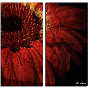 Ready2HangArt Gerber Daisy 2pc Wrapped Canvas Wall Art by Tristan Scott NoColor 20in W x 40in H