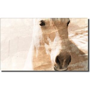 Ready2HangArt Equestrian Saddle Ink PSXI Canvas Wall Art by Tristan Scott NoColor 12in H x 16in W