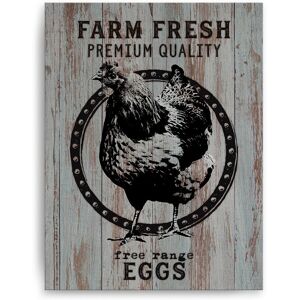 Ready2HangArt Farm Fresh Eggs Wrapped Canvas Wall Art by Olivia Rose NoColor 16 x 20