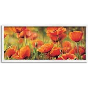 Stupell Wild Poppy Flowers Spring Blooms Framed Giclee Wall Art by Pierre Viollet NoColor 10 x 24