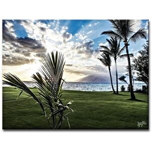 Ready2HangArt Waui Maui Wrapped Canvas Wall Art NoColor 16in W x 12in H