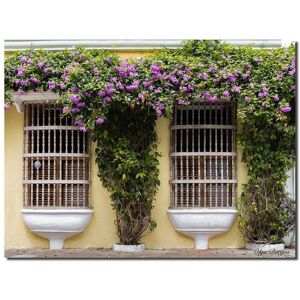 Ready2HangArt Indoor/Outdoor Wall Decor Provincial II in ArtPlexi Wall Art by Olga Burgos NoColor 12in H x 16in W