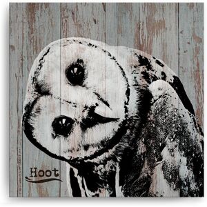 Ready2HangArt Hoot Wrapped Canvas Wall Art by Olivia Rose NoColor 30 x 30
