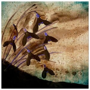 Ready2HangArt Painted Petals XIV Wrapped Canvas Wall Art NoColor 12in W x 24in H