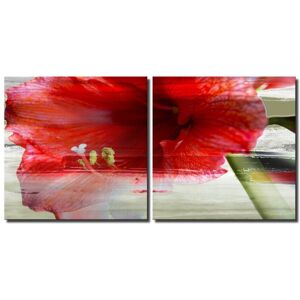 Ready2HangArt Painted Petals XLIX Canvas Wall Art NoColor 60in W x 30in H