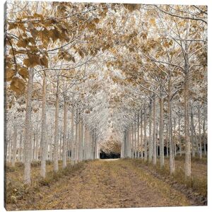 iCanvas White Gold by Assaf Frank Wall Art NoColor 12x12