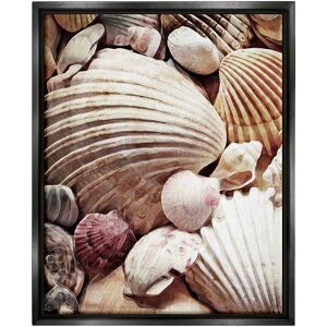 Stupell Various Nautical Clam Conch Shells Framed Floater Canvas Wall Art by Ashley Aldridge NoColor 17 x 21