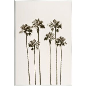 Stupell Tall Palm Trees Looming Wall Plaque Wall Art by Natalie Carpentieri NoColor 13 x 19