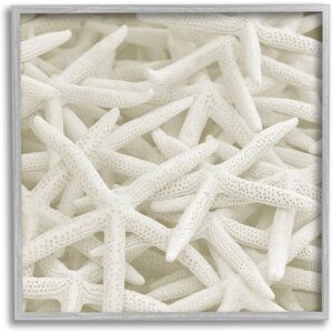 Stupell Nautical White Starfish Photography Framed Giclee Wall Art by Lil' Rue NoColor 17 x 17