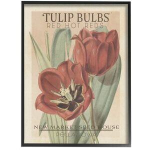 Stupell Hot Red Tulip Bulbs Antique Floral Seed Packet By Studio W Wall Art NoColor 11 x 14
