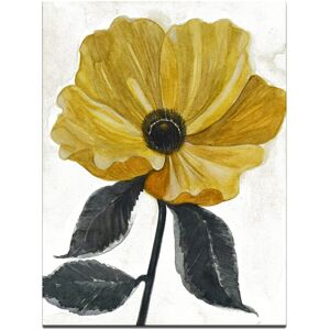 Ready2HangArt Graceful Poppy IV Wrapped Canvas Wall Art by Norman Wyatt NoColor 16in W x 20in H
