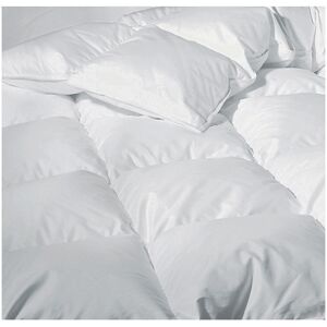 Downtown Company Winter Comfort Hungarian White Goose Down Comforter NoColor Full