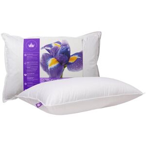 Canadian Down & Feather Company Hutterite Goose Down Pillow Medium Support White Standard