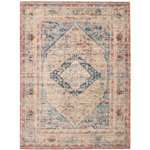 ECARPET Bolivia Bijar Vintage Distressed Rug Multi 5' x 7'