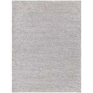 Exquisite Rugs Morello PET Area Rug NoColor 4' x 6'