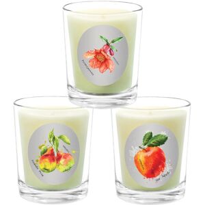 Qualitas Candles 3pc Candle Set - Forelle Pear, The Apple, & Pomegranate White NoSize
