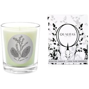 Qualitas Candles Mimosa Tree 6.5oz Candle NoColor NoSize