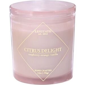 Levitate Candles Timeless/Citrus Delight 14oz Candle Pink NoSize