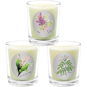 Qualitas Candles 3pc Candle Set - Lilac, Jasmine, & Lily Of The Valley White NoSize