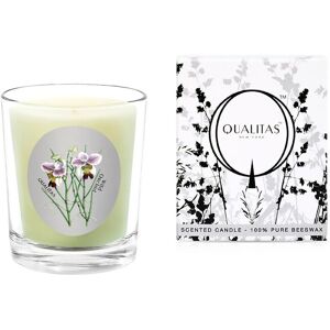 Qualitas Candles ScentedEWild Orchid Beeswax Candle White NoSize