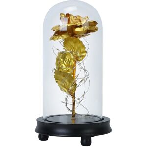 Fresh Fab Finds LED String Light Fairy Lamp NoColor NoSize