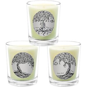 Qualitas Candles 3pc Candle Set - Amber Oud, Oud, & Fleur Oud White ns