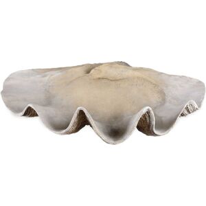 Uttermost Clam Shell Bowl Brown NoSize