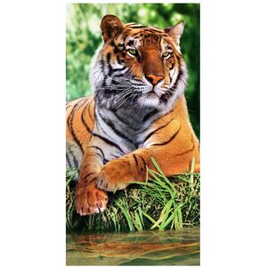 Dhler Dohler Set of 2 Tiger Resting Beach Towels Multi os