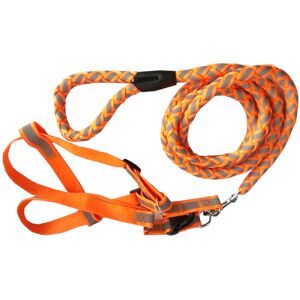 Pet Life Reflective Stitched Easy Tension Adjustab NoColor Small Pet Life Reflective Stitched Easy Tension Adjustab NoColor Small