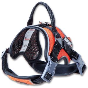 Dog Helios Scorpion Sporty High Performance Free Orange NoSize