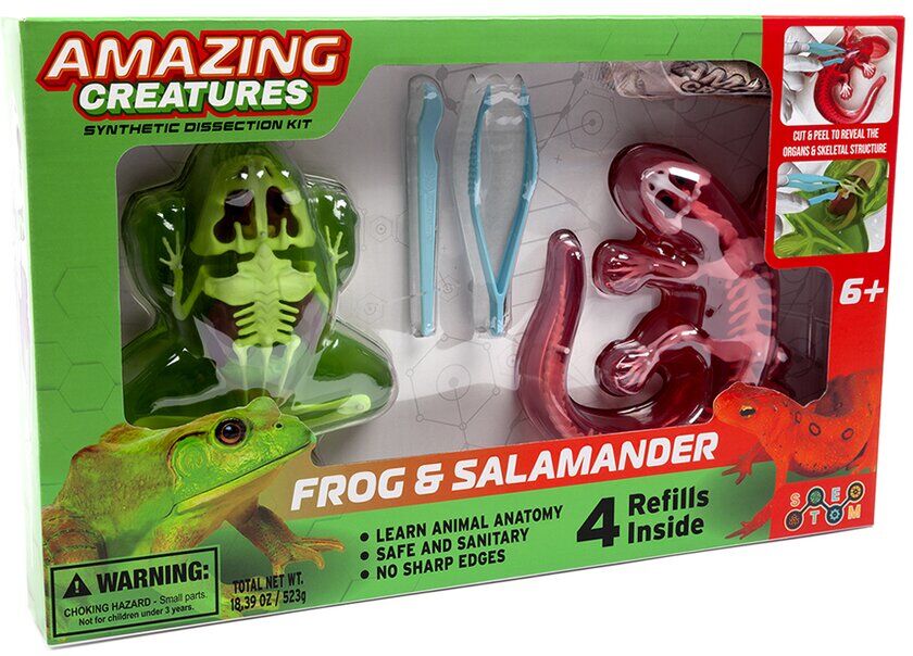 World Tech Toys Amazing Creatures Frog & Salamander Synthetic Diss NoColor NoSize