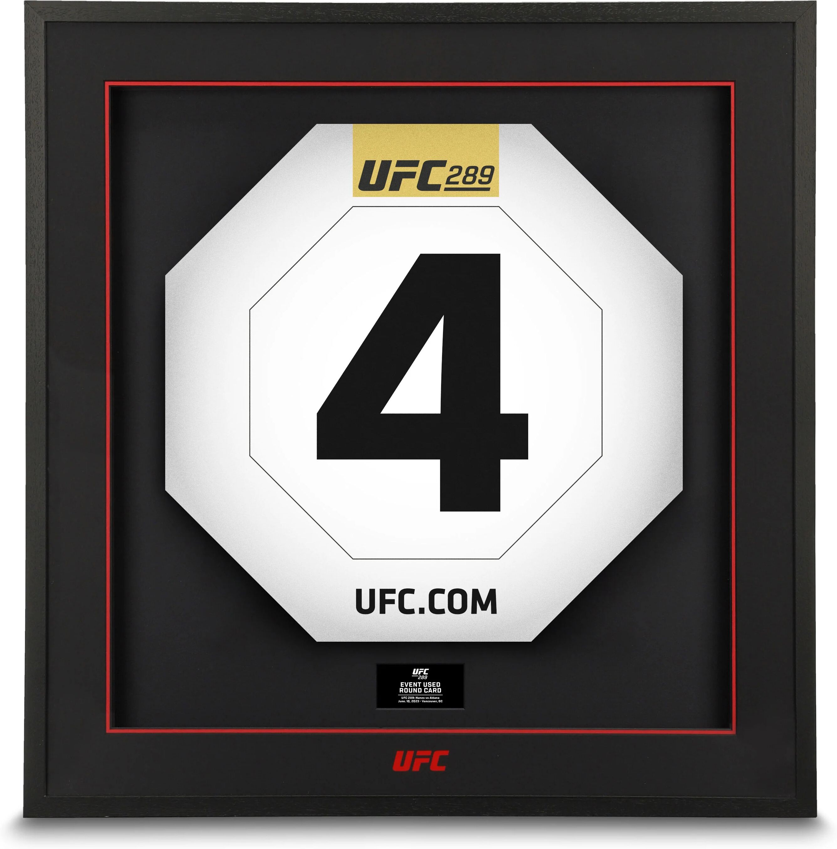 UFC Collectibles UFC 289: Nunes vs Pena 3 Round Cards