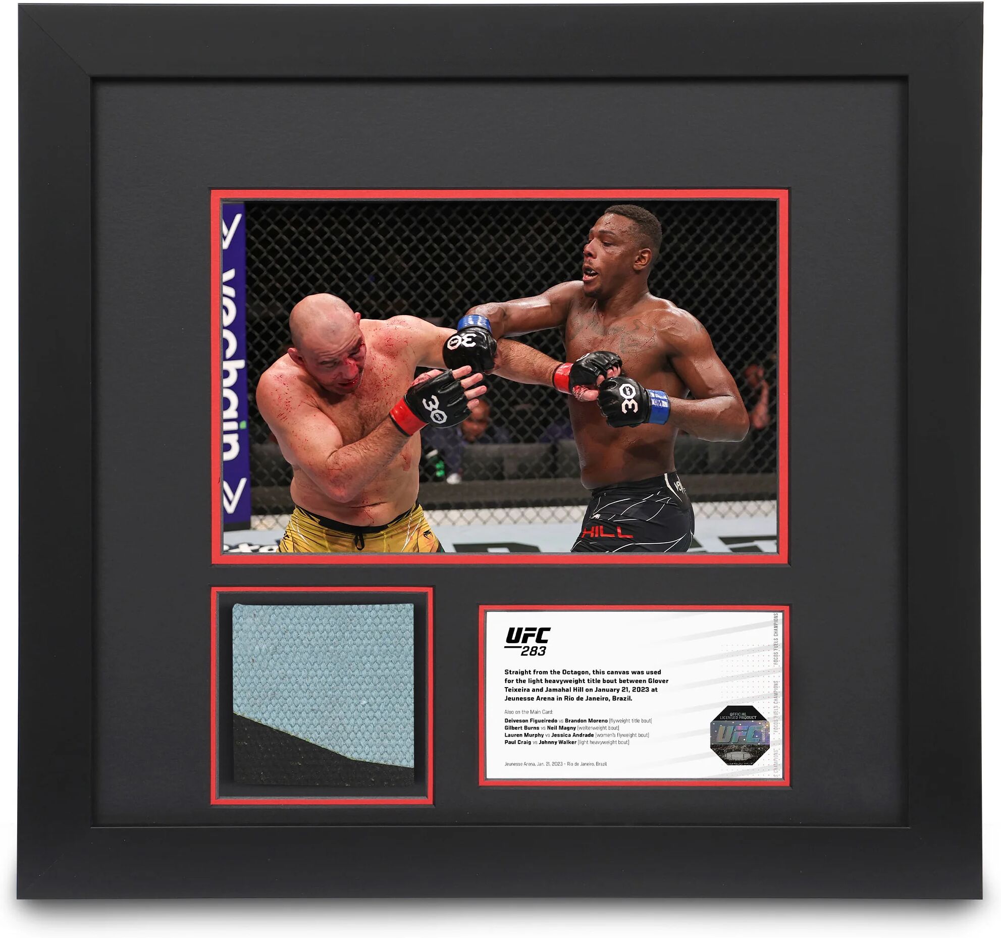 UFC Collectibles UFC 283: Teixeira vs Hill Canvas & Photo