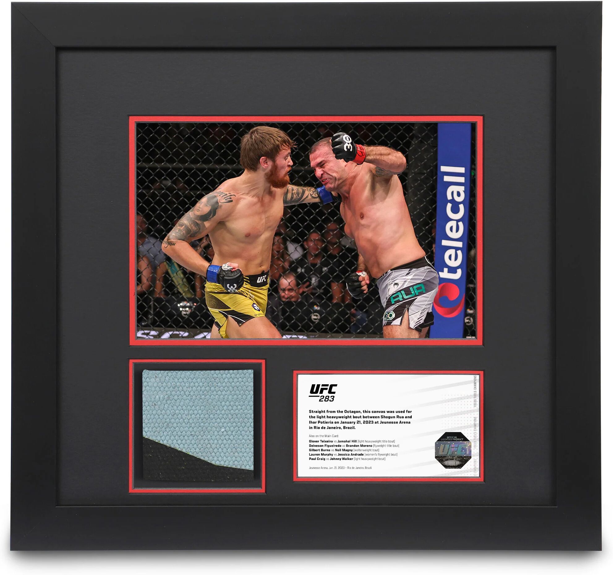 UFC Collectibles UFC 283: Rua vs Potieria Canvas & Photo