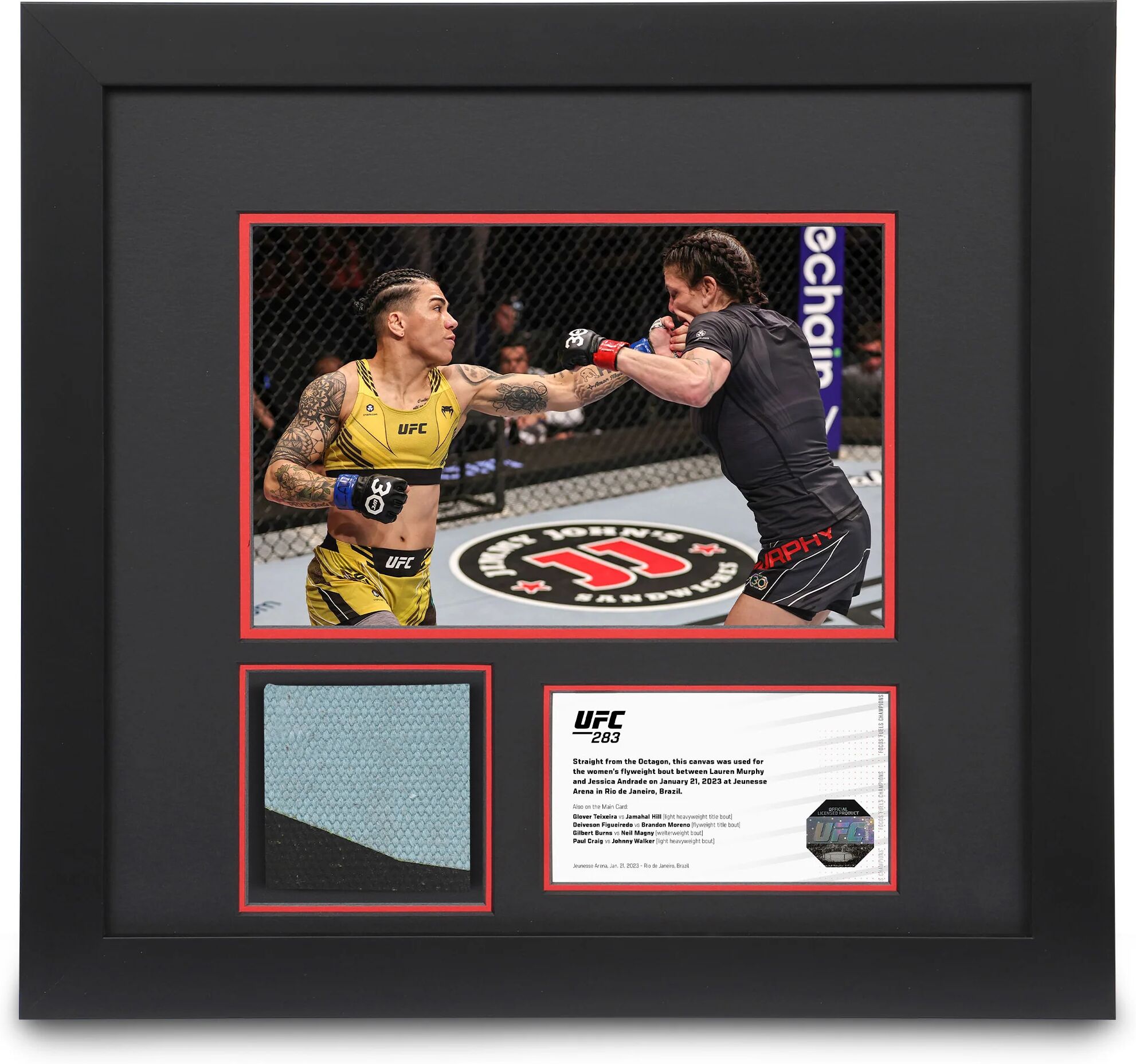 UFC Collectibles UFC 283: Andrade vs Murphy Canvas & Photo