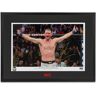 UFC Collectibles Stipe Miocic Signed Photo UFC 241