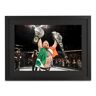 UFC Collectibles Conor McGregor Framed Photo UFC 205: Alvarez vs McGregor