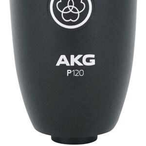 AKG P120