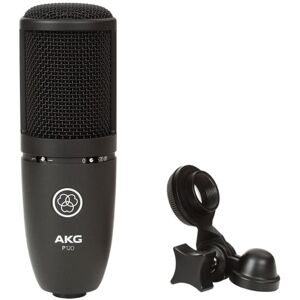 AKG P120